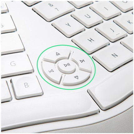 Close-up of a white keyboard with control keys highlighted
Klaviatura Delux GM902, US standart na bukvite, bezzhichna, Bluetooth