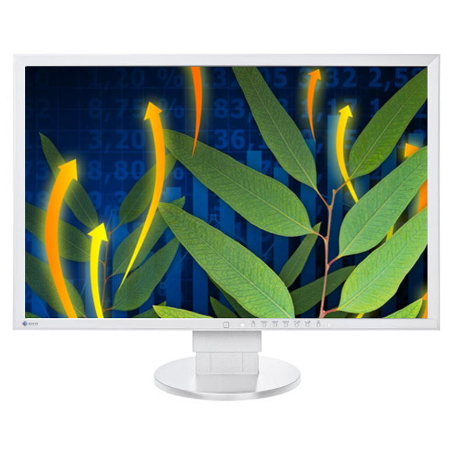 24" Монитор втора употреба Eizo EV2416W - (1920 x 1200 , TN - матрица, VGA, DVI, DisplayPort)