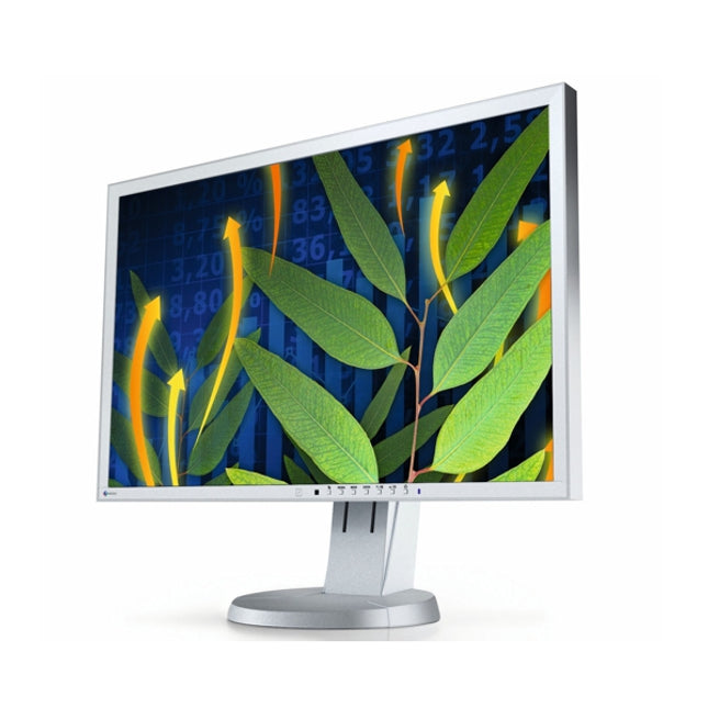 24" Монитор втора употреба Eizo EV2436W - (1920 x 1200 , IPS - матрица, VGA, DVI, DisplayPort )